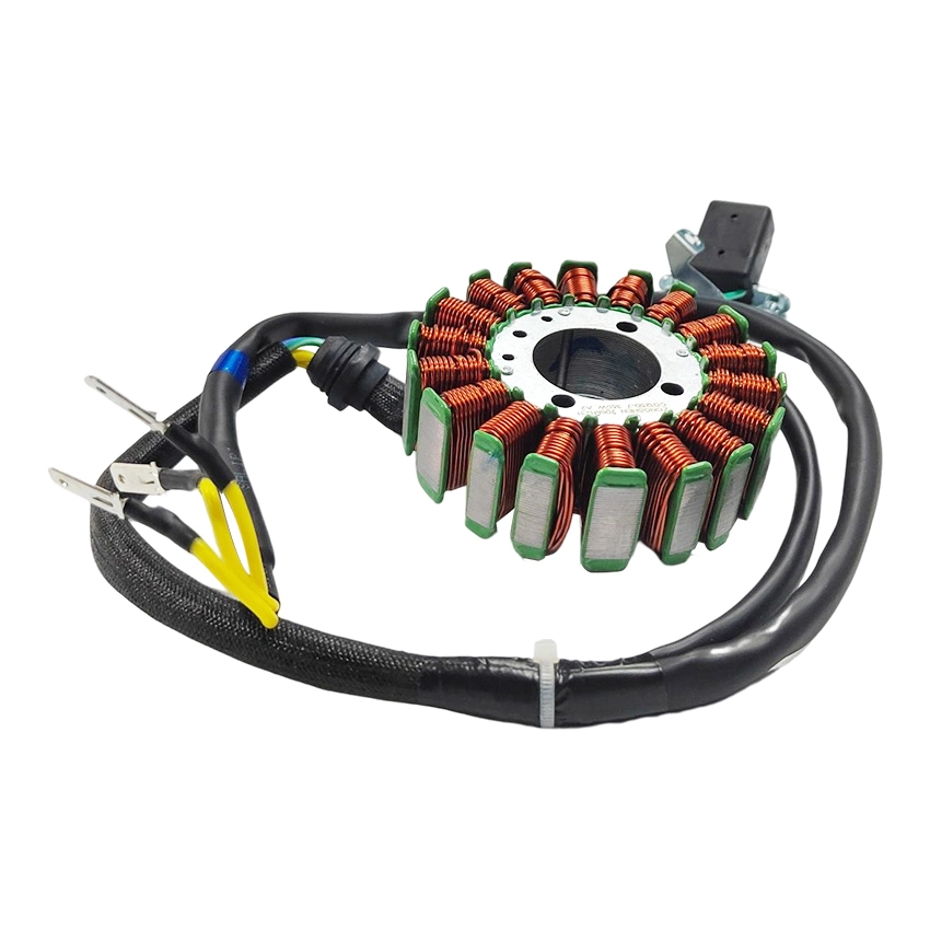 Rts Motorcycle Magneto Stator Coil for Cg125 Cg150 Cg200 Coils Spare Parts Accessories