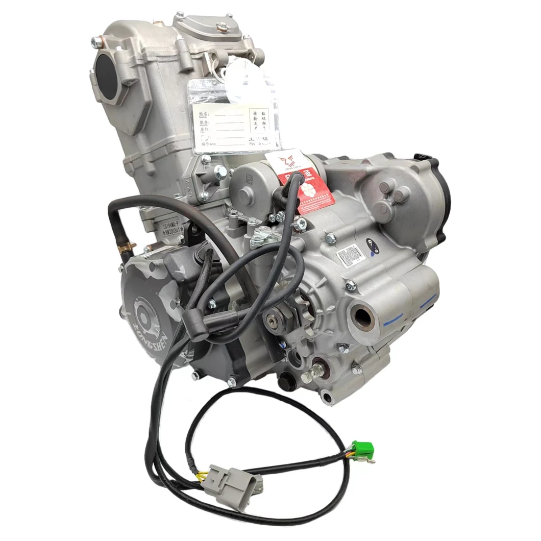 Zongshen Engine Nc450 Water Cooling 450cc Engine Assembly with Efi 4-Stroke Motorcycle Motor