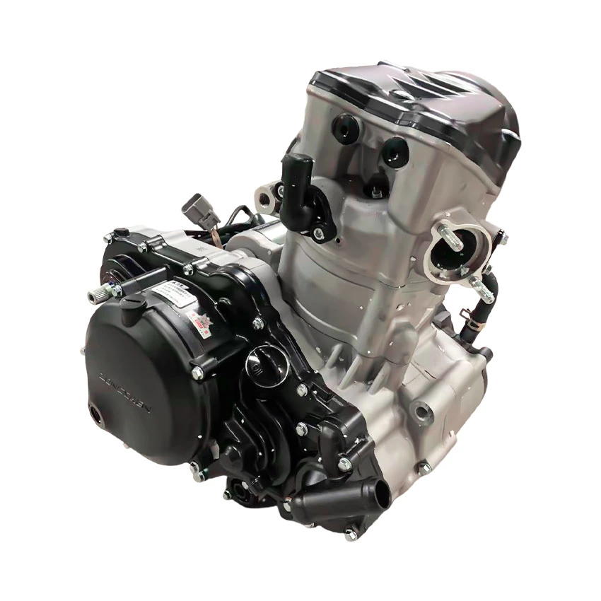 Nc450 Water Cooling Zongshen Engine 450cc Engine Assembly with Efi 4-Stroke Motorcycle Motor