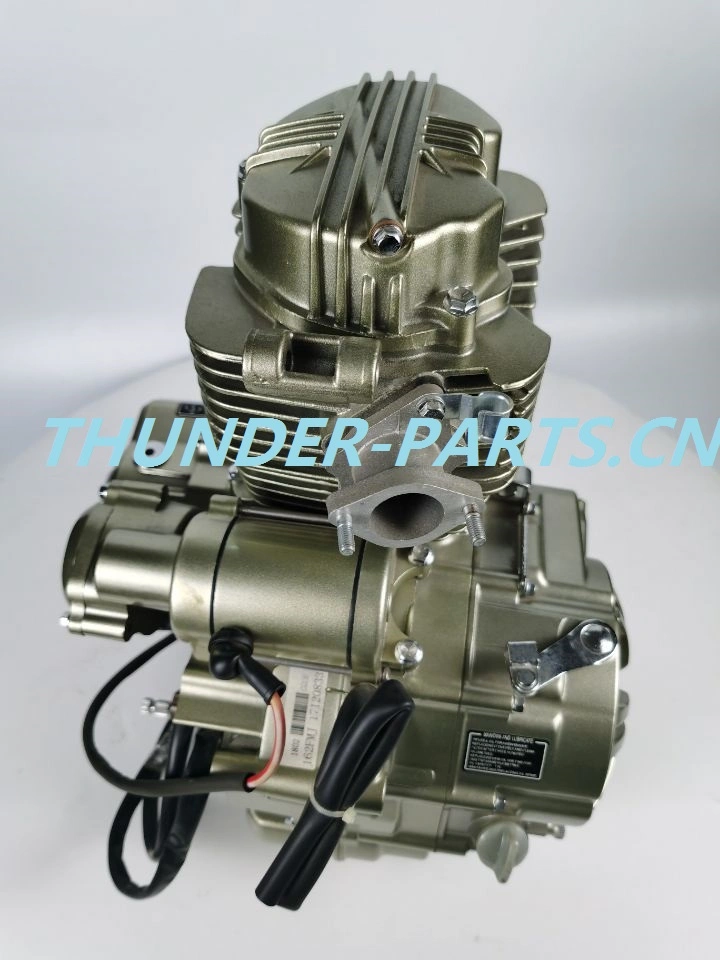 Quality Motorcycle Gas Engine and Spare Parts for Scooter/Dirt Bike/Tricycles/Cg125 Cg150/Cg200/Cg250/Cg300/Gy6-125/150/70cc/90cc/110cc/125cc/200cc/250cc
