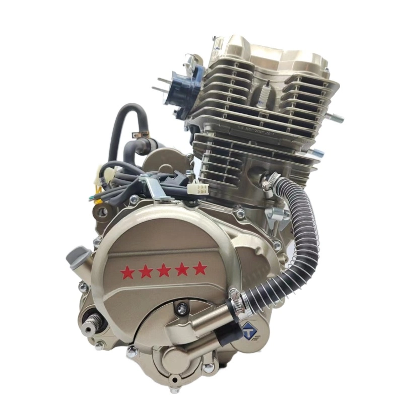 Loncin Motorcycle Td260 4-Stroke 260cc 250cc Water-Cooled Engine for Tricycle Three Wheeler Dirt Bike Motors Manual 5 Gears