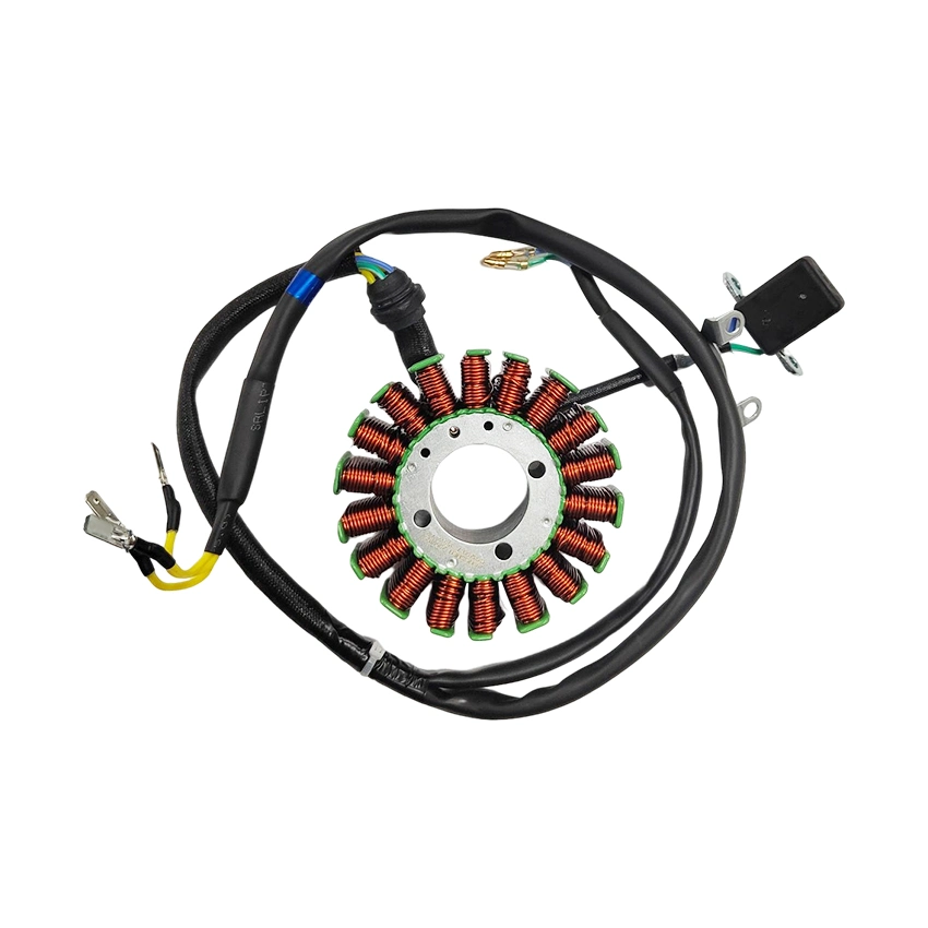 Rts Motorcycle Magneto Stator Coil for Cg125 Cg150 Cg200 Coils Spare Parts Accessories