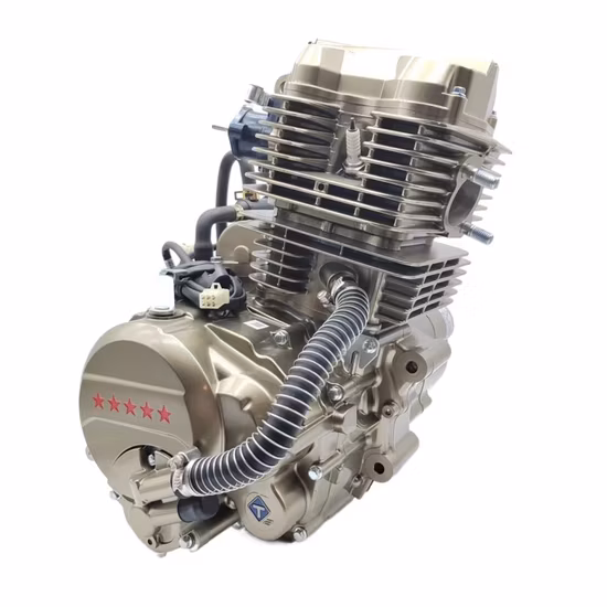 Loncin Motorcycle Td260 4-Stroke 260cc 250cc Water-Cooled Engine for Tricycle Three Wheeler Dirt Bike Motors Manual 5 Gears