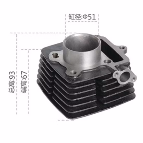 Vespa-Piaggio Victor Voshod Wave100 Wave125 Wh100le Motorcycle Parts Cylinder Kit