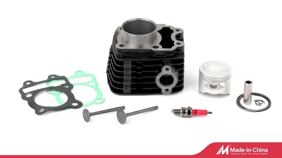 Motorcycle Starting Motor /Generator (55440001000) 300 Exc 17-21