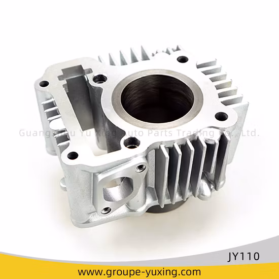 Motorcycle Parts Motorcycle Spare Parts Motorcycle Cylinder Kit Fits for YAMAHA Jy110